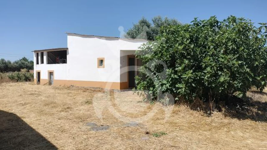 Quinta T3 para Venda em Reguengos de Monsaraz Foto 3