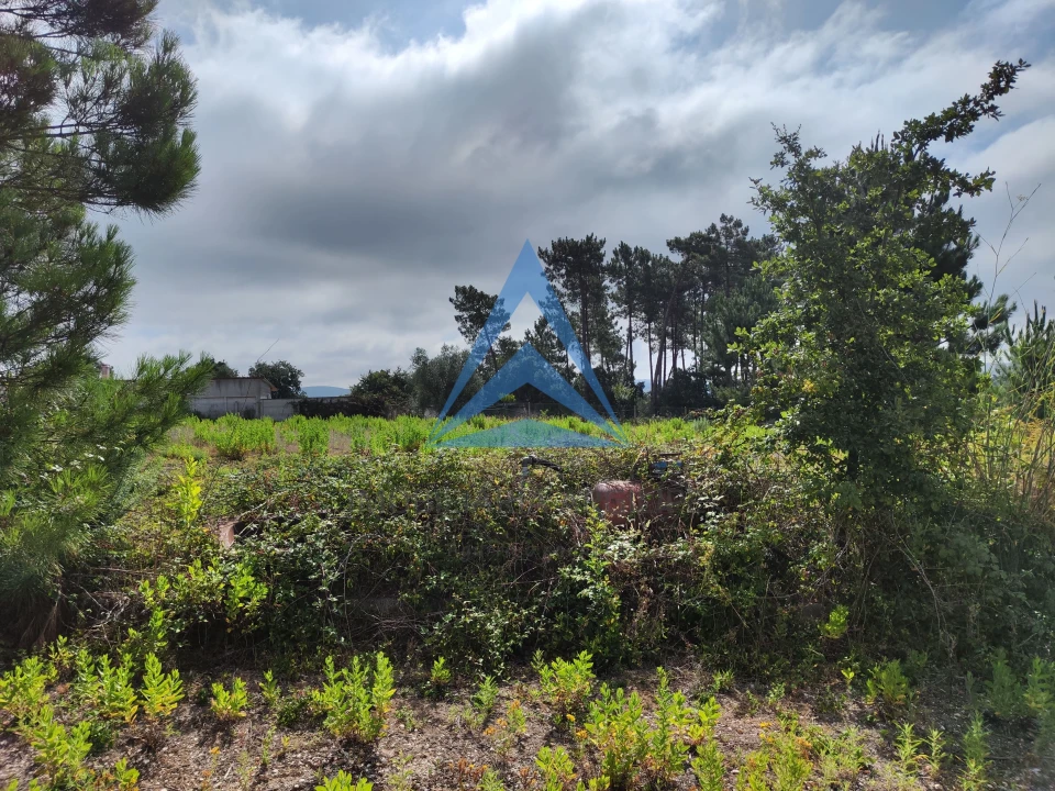 Armazém para Venda em Pelariga Foto 17