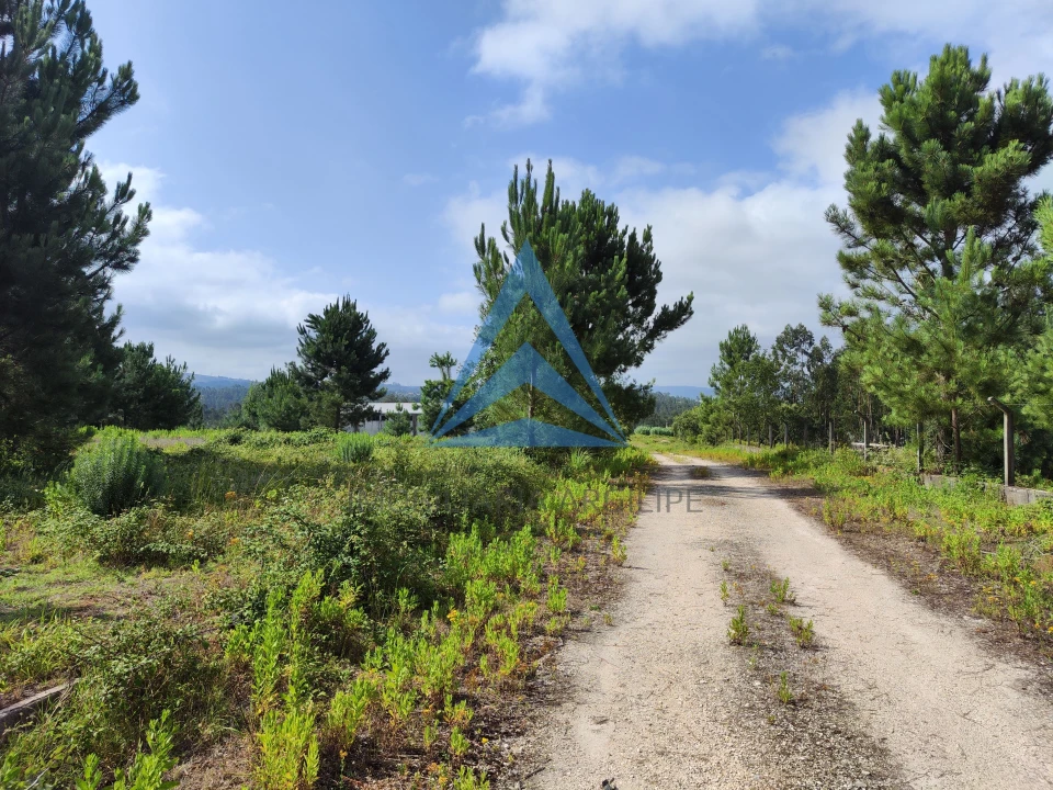 Armazém para Venda em Pelariga Foto 19
