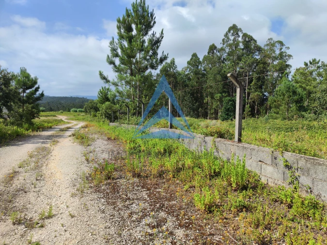 Armazém para Venda em Pelariga Foto 16