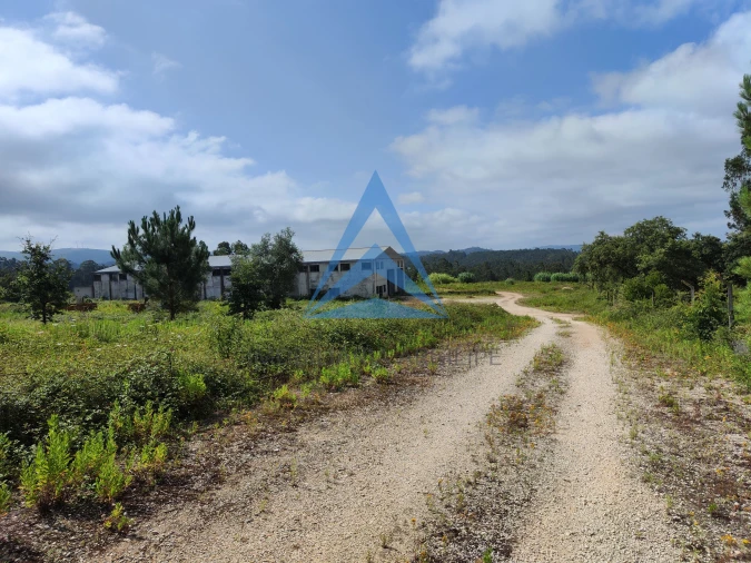 Armazém para Venda em Pelariga Foto 15
