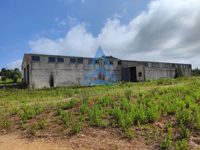 Armazém para Venda em Pelariga Foto 2