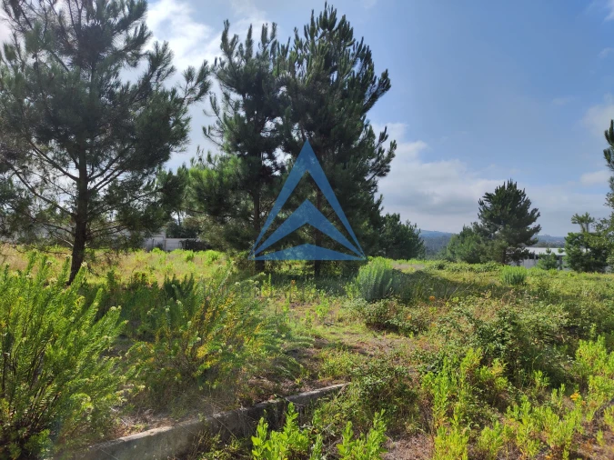 Armazém para Venda em Pelariga Foto 18