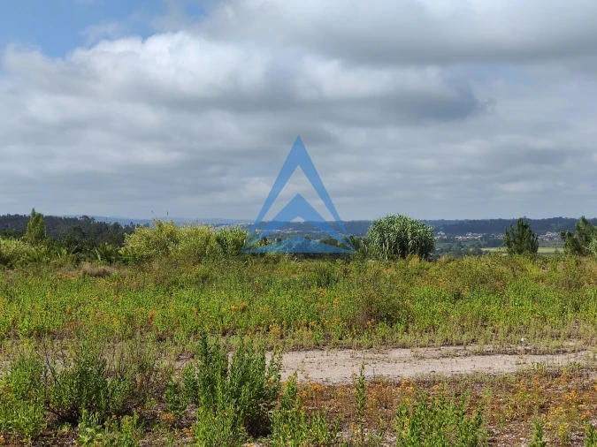 Armazém para Venda em Pelariga Foto 12