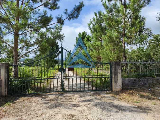 Armazém para Venda em Pelariga Foto 11