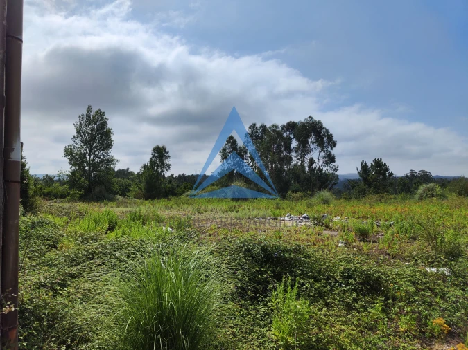 Armazém para Venda em Pelariga Foto 13