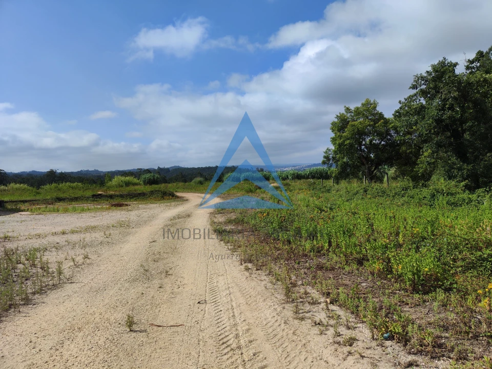 Armazém para Venda em Pelariga Foto 14