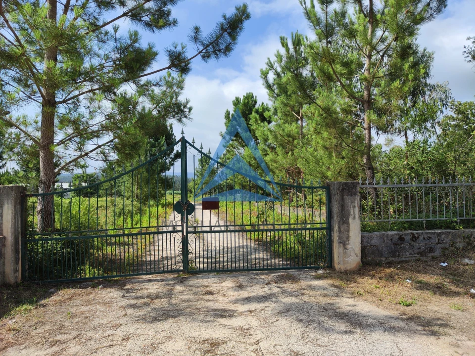 Armazém para Venda em Pelariga Foto 11