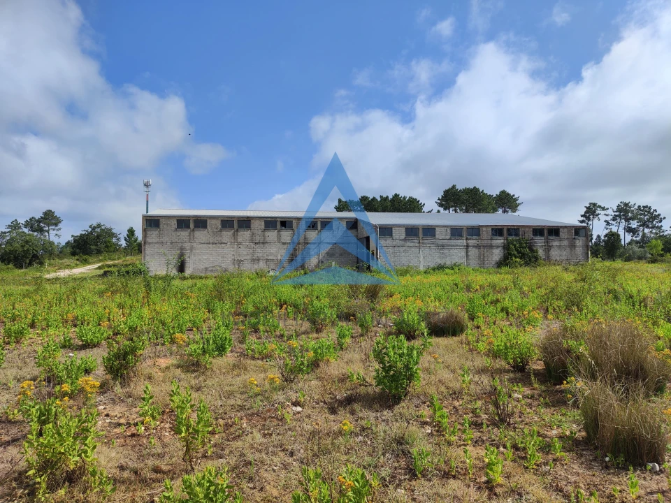 Armazém para Venda em Pelariga Foto 10