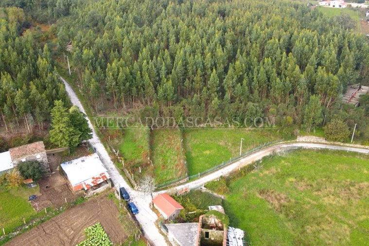Quinta T2 para Venda em Macieira de Cambra Foto 7