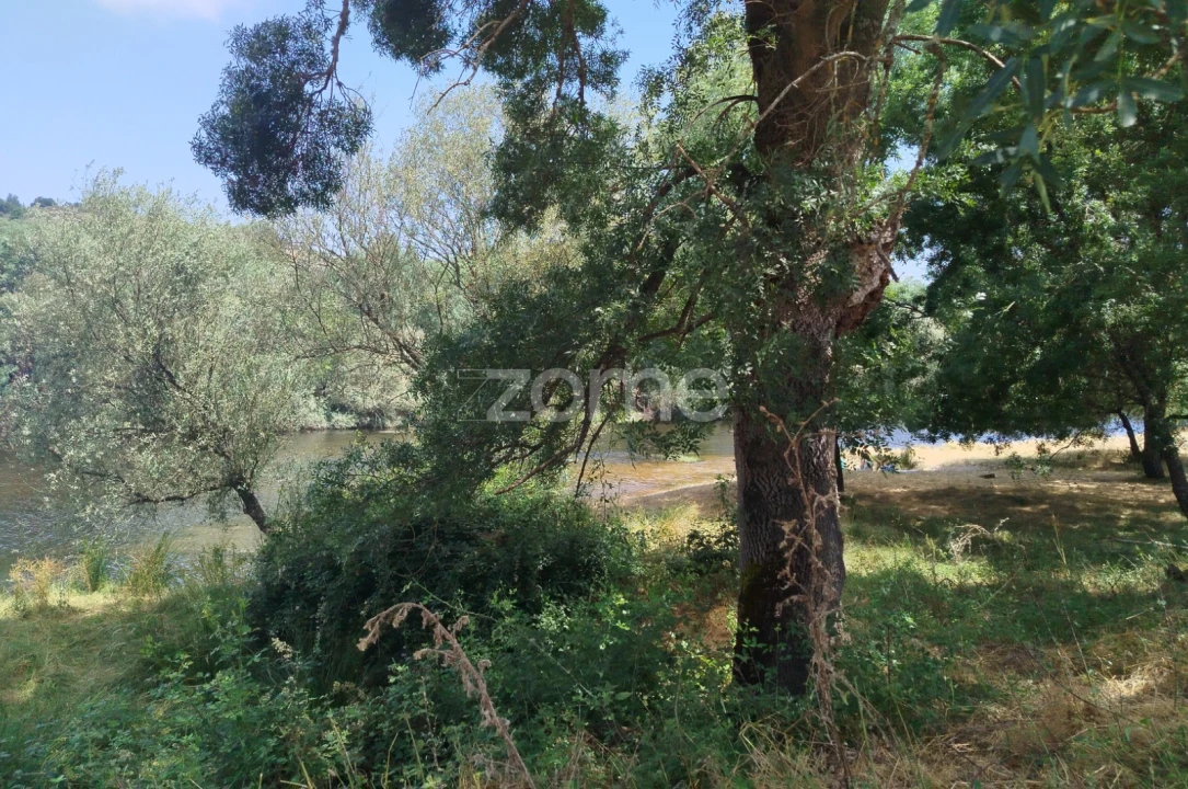 Terreno para Venda em Abrunhosa-A-Velha Foto 1