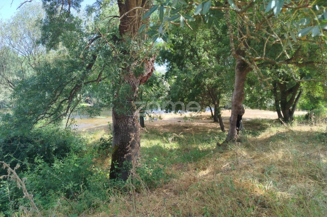 Terreno para Venda em Abrunhosa-A-Velha Foto 15