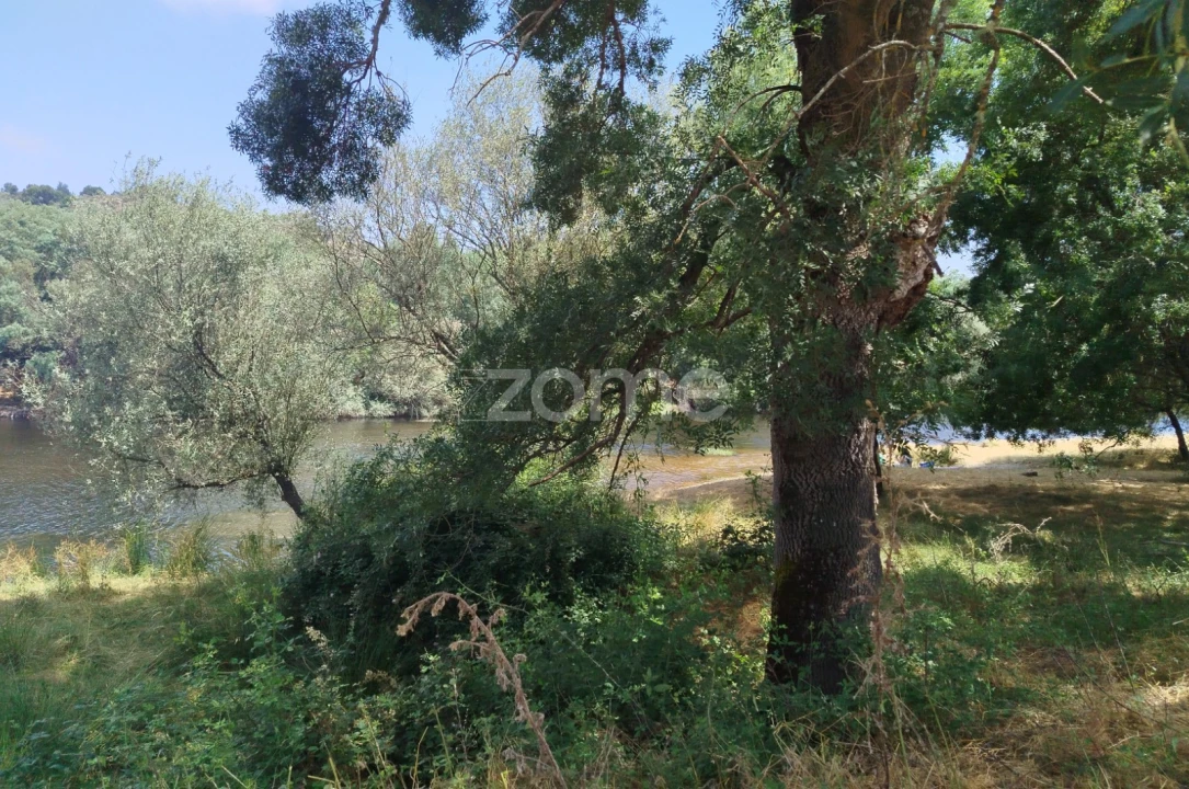 Terreno para Venda em Abrunhosa-A-Velha Foto 10