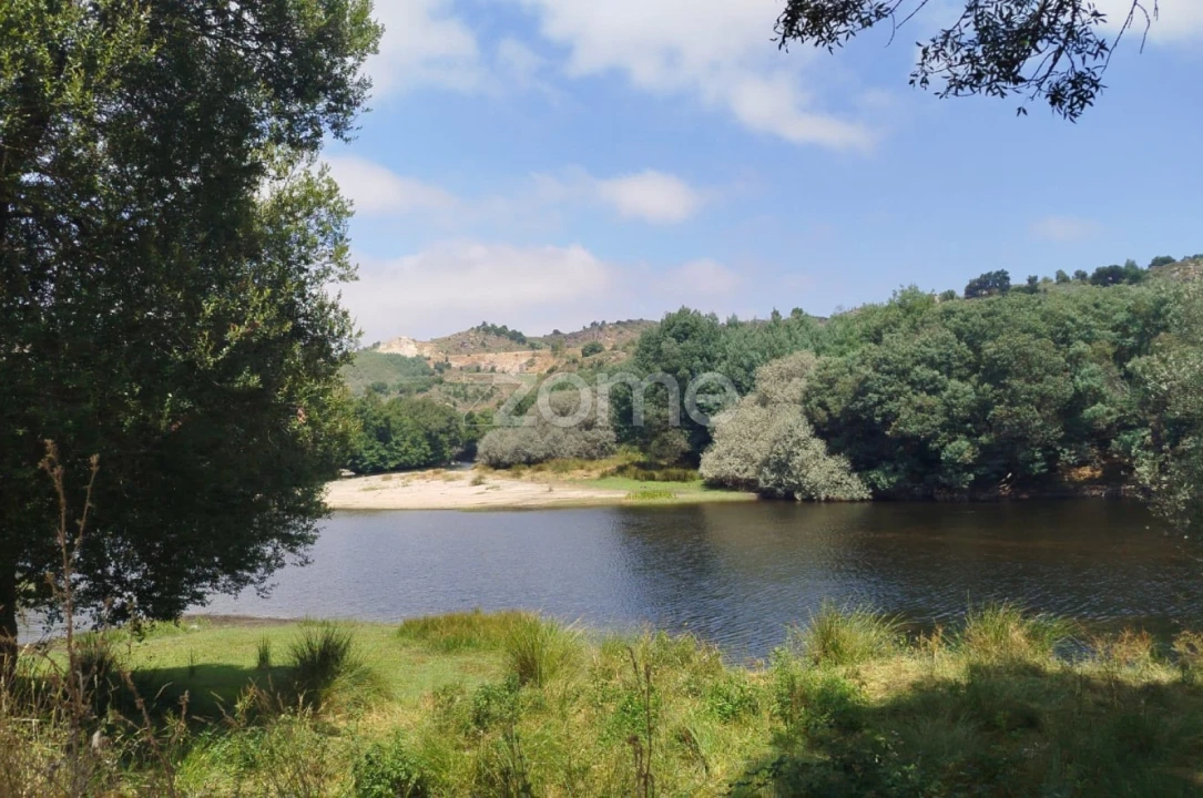 Terreno para Venda em Abrunhosa-A-Velha Foto 3