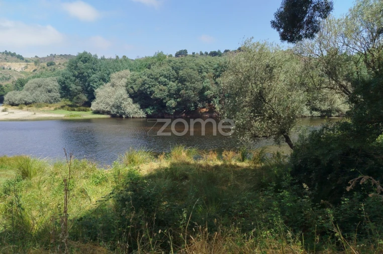 Terreno para Venda em Abrunhosa-A-Velha Foto 12