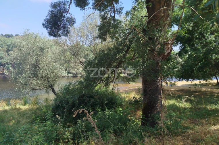 Terreno para Venda em Abrunhosa-A-Velha Foto 9