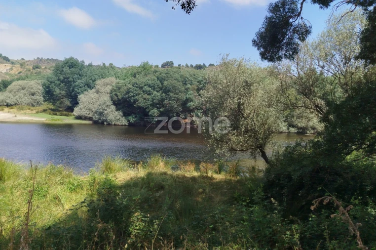 Terreno para Venda em Abrunhosa-A-Velha Foto 17