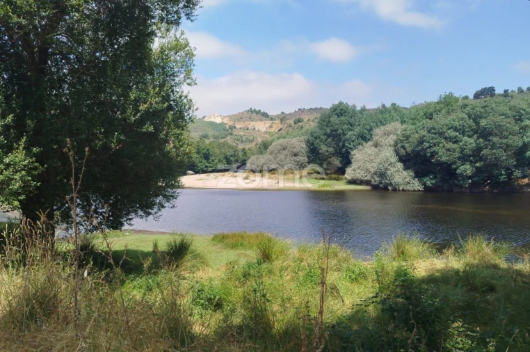 Terreno para Venda em Abrunhosa-A-Velha Foto 2