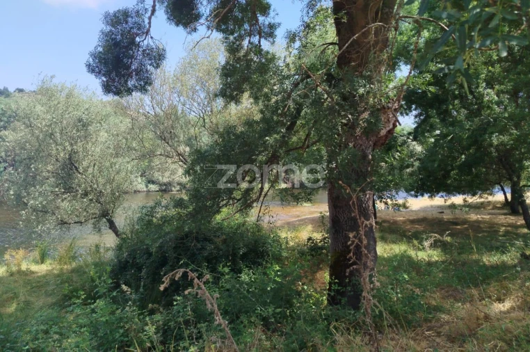 Terreno para Venda em Abrunhosa-A-Velha Foto 6