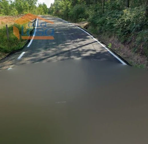 Terreno Agricola ou Rústico para Venda em Mundão Foto 2