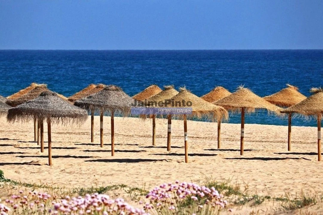 Negócio para Venda em Lagos (São Sebastião e Santa Maria) Foto 1