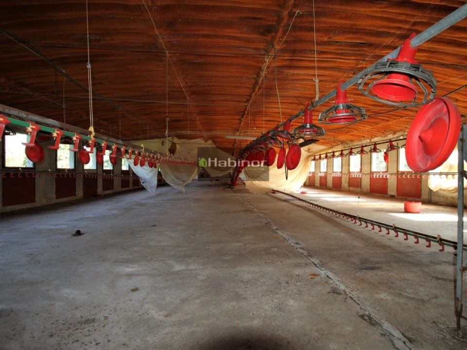 Moradia para Venda em Lanheses Foto 18