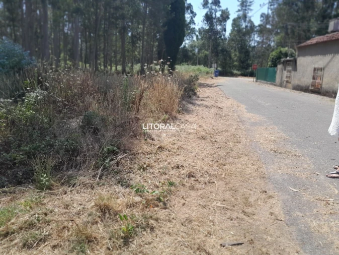 Terreno para Venda em Recardães e Espinhel Foto 7