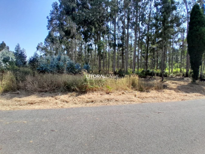 Terreno para Venda em Recardães e Espinhel Foto 2