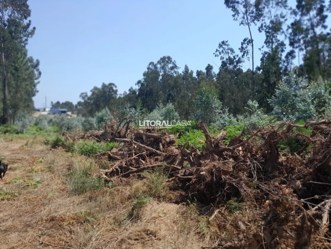 Terreno para Venda em Recardães e Espinhel Foto 9