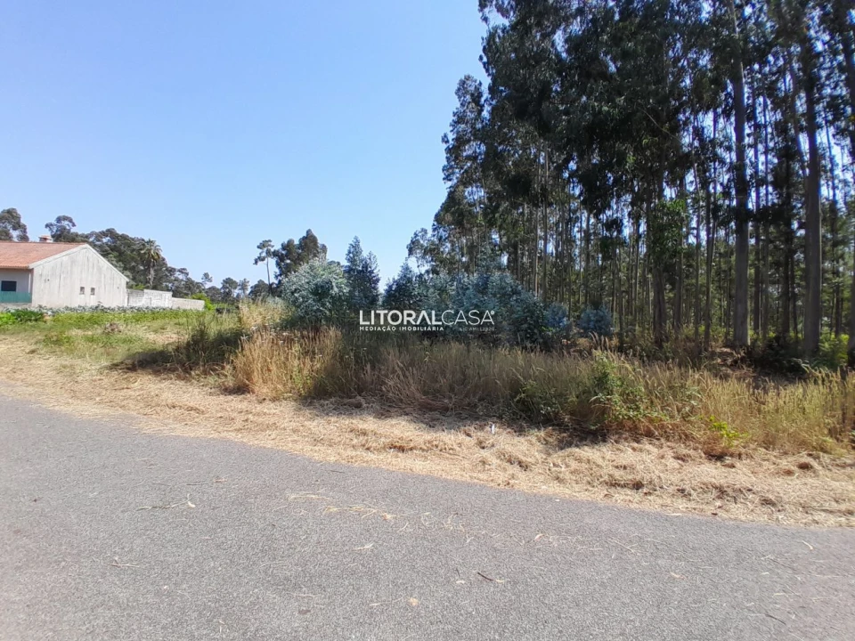 Terreno para Venda em Recardães e Espinhel Foto 3