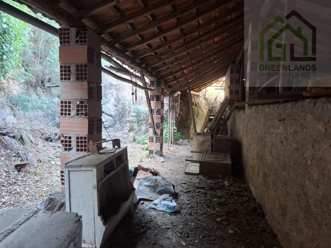 Moradia T3 para Venda em Tabua Foto 33