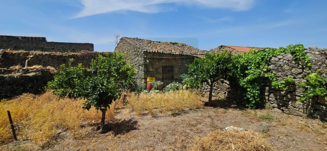 Terreno para Venda em Monfortinho e Salvaterra do Extremo Foto 2