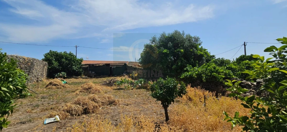 Terreno para Venda em Monfortinho e Salvaterra do Extremo Foto 6