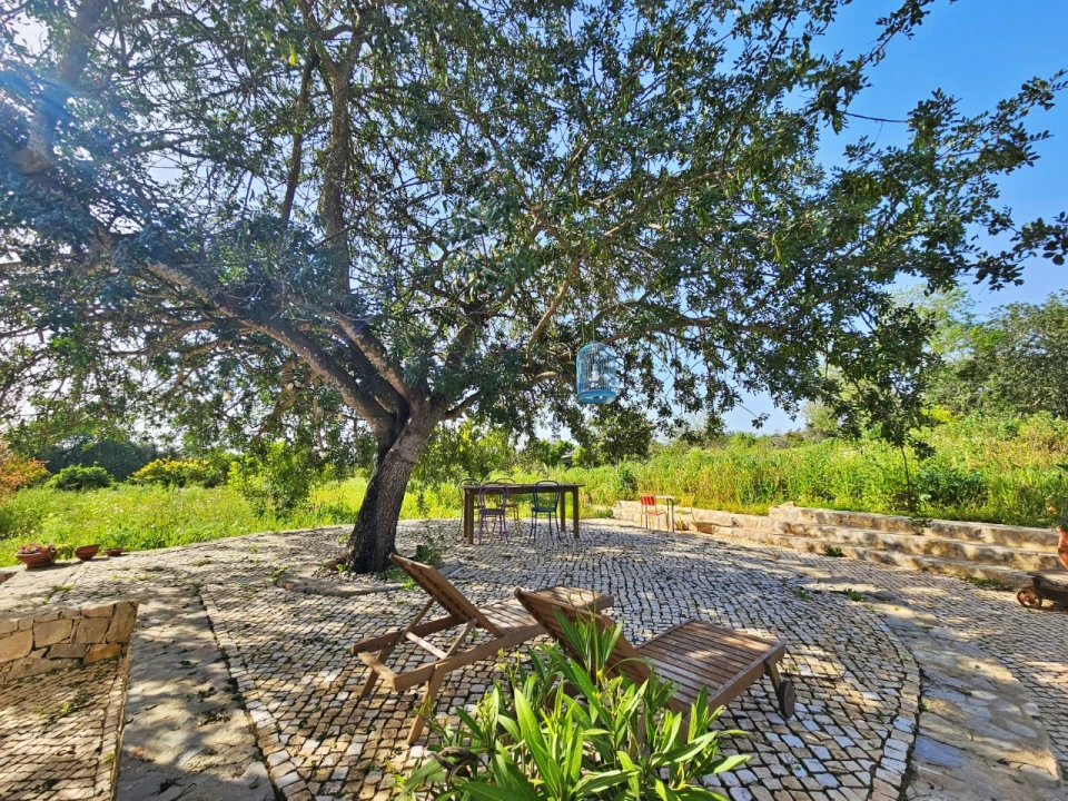 Quinta T3 para Venda em Moncarapacho e Fuseta Foto 26