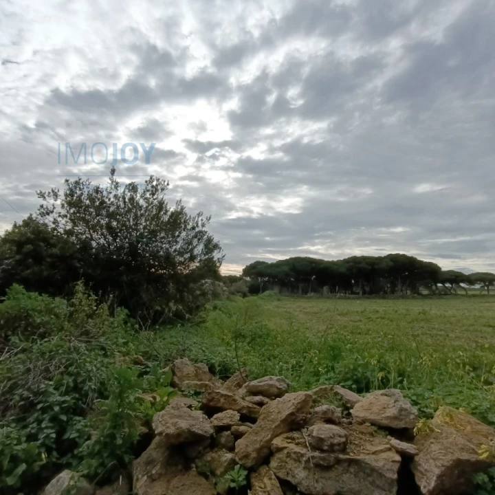 Terreno para Venda em São João das Lampas e Terrugem Foto 2