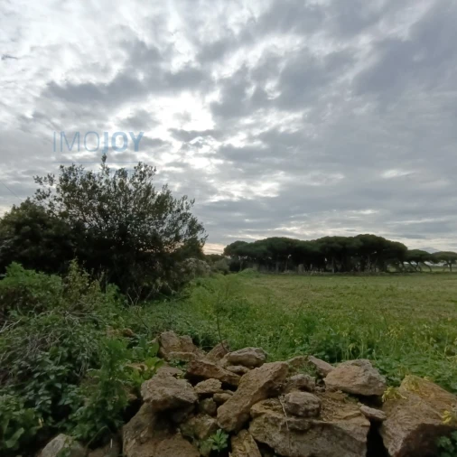Terreno para Venda em São João das Lampas e Terrugem Foto 2