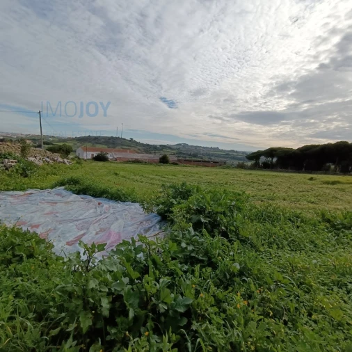 Terreno para Venda em São João das Lampas e Terrugem Foto 4