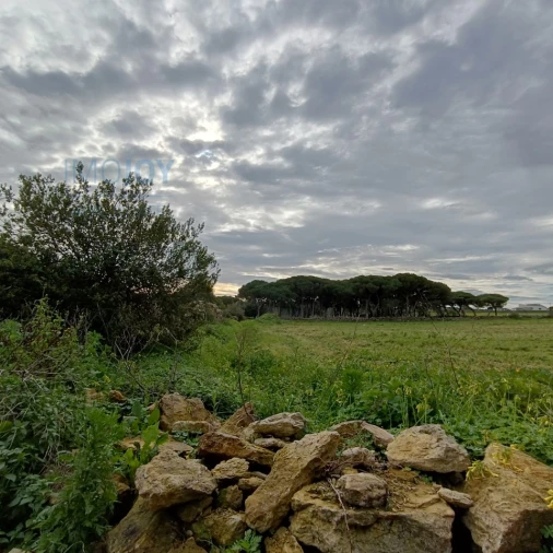 Terreno para Venda em São João das Lampas e Terrugem Foto 5