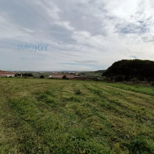 Terreno para Venda em São João das Lampas e Terrugem Foto 7