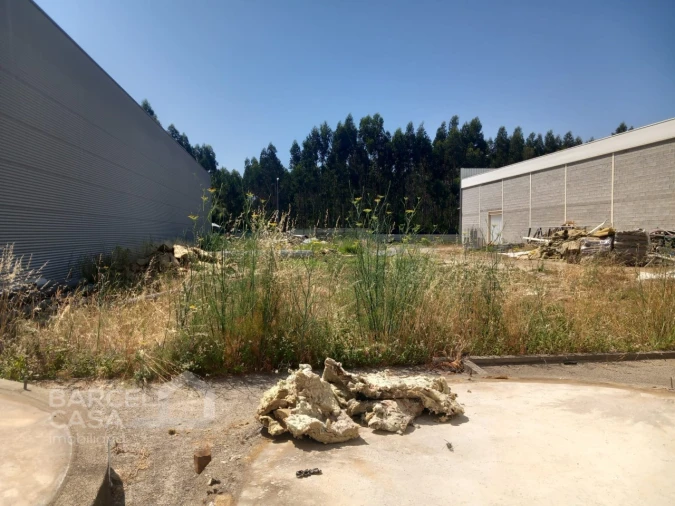 Armazém para Venda em Esposende, Marinhas e Gandra Foto 12