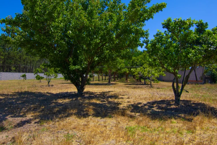 Moradia T5 para Venda em Carriço Foto 24