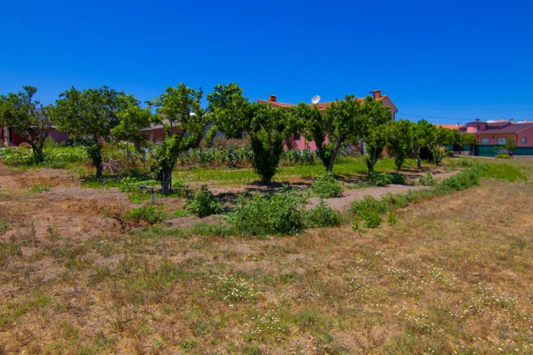 Moradia T5 para Venda em Carriço Foto 19