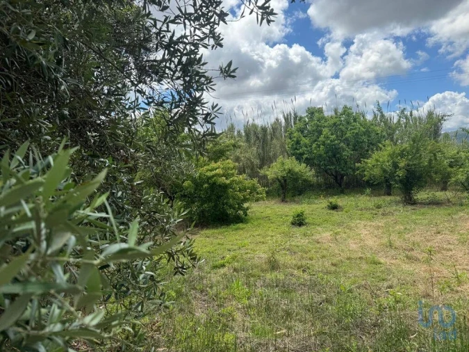 Terreno para Venda em Maiorga Foto 13