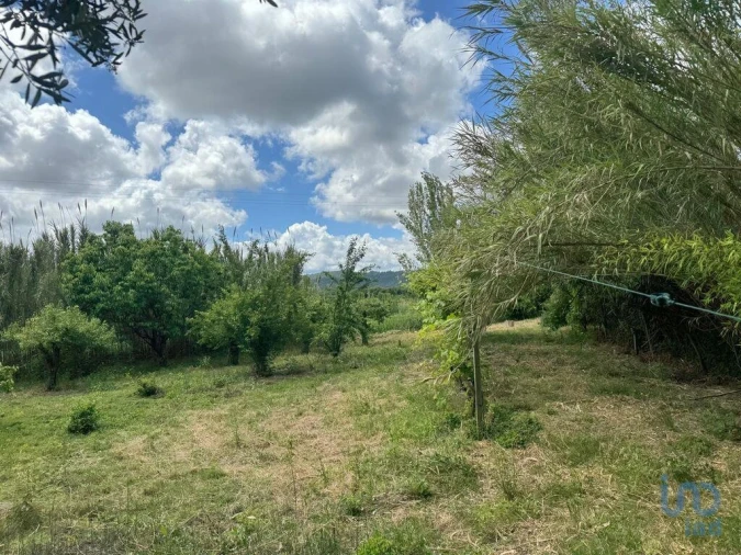 Terreno para Venda em Maiorga Foto 12