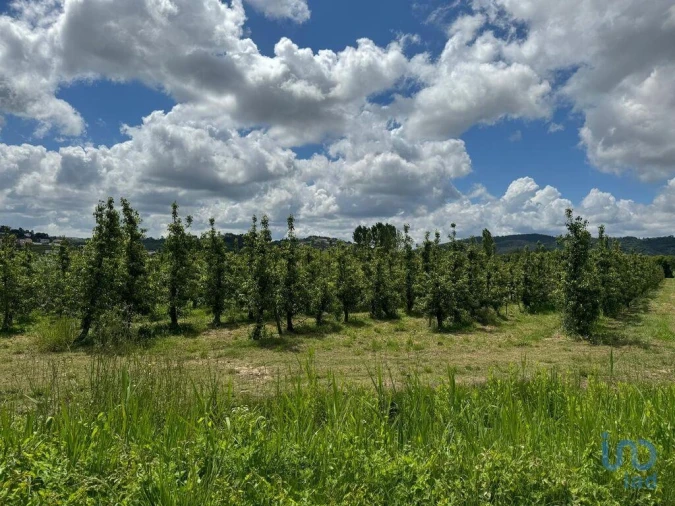 Terreno para Venda em Maiorga Foto 2