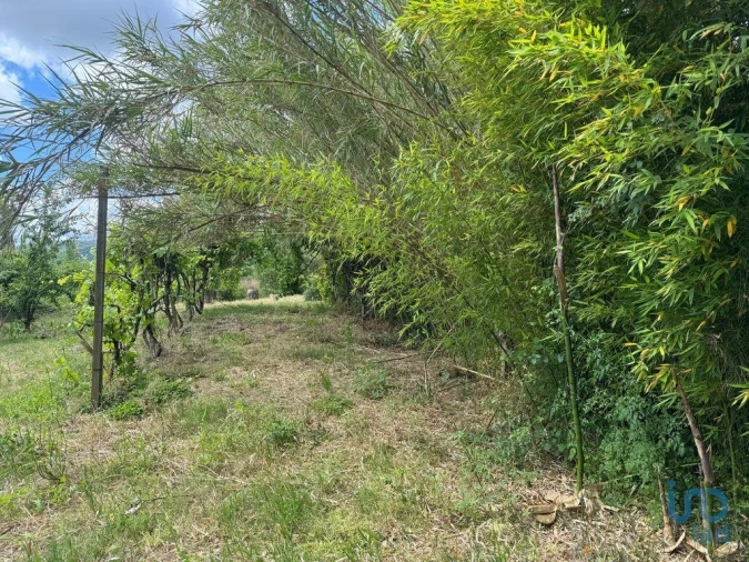 Terreno para Venda em Maiorga Foto 10