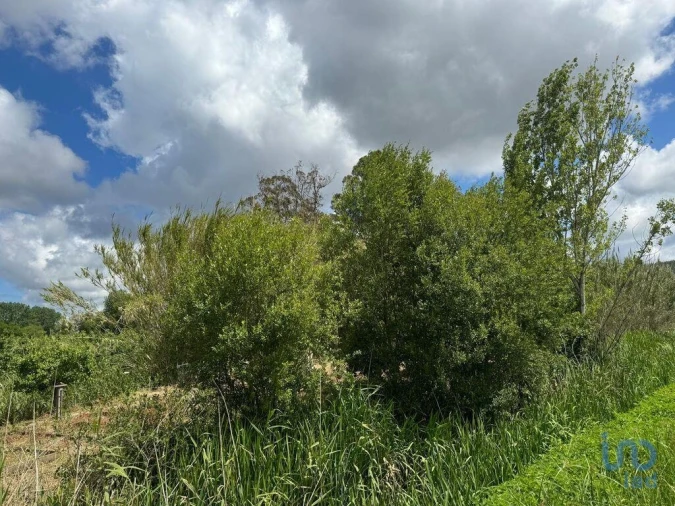 Terreno para Venda em Maiorga Foto 6