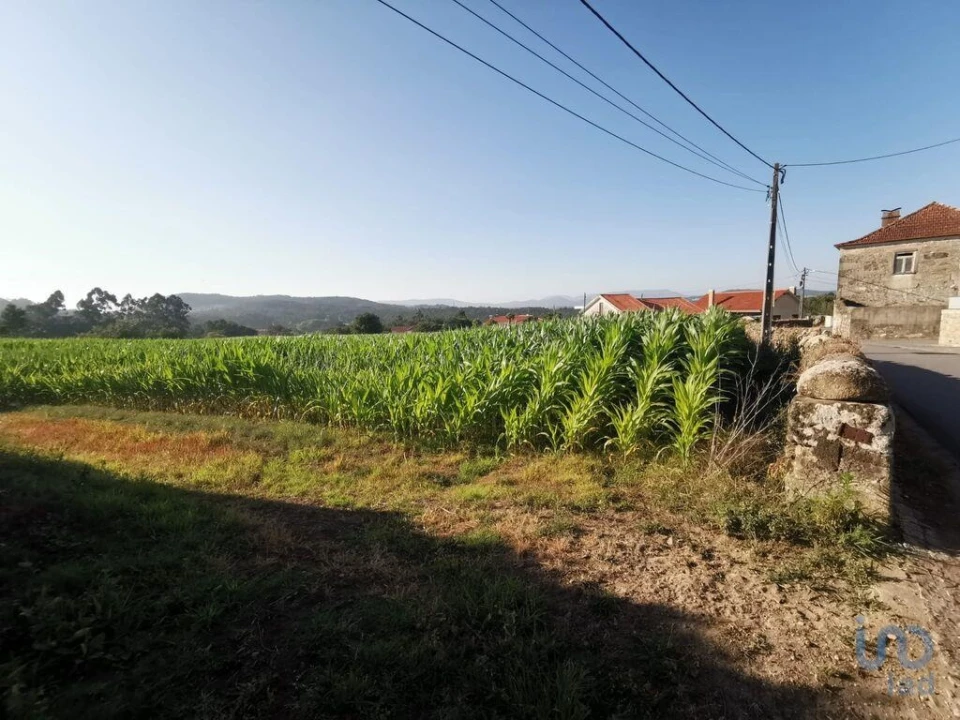 Terreno para Venda em Antas Foto 1