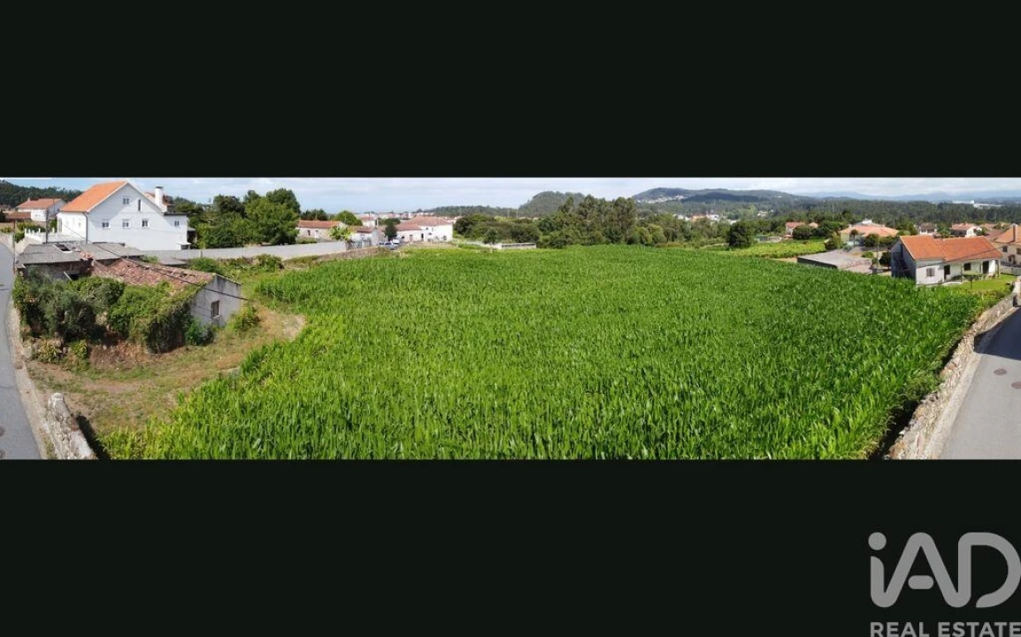 Terreno para Venda em Antas Foto 15