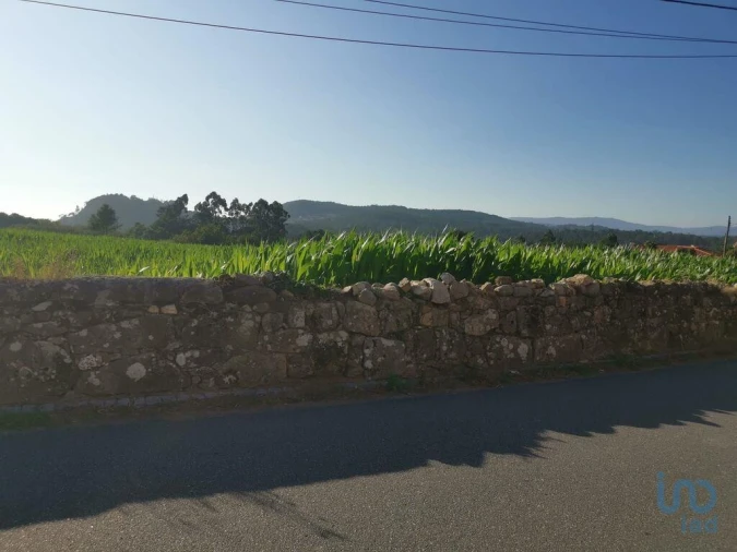 Terreno para Venda em Antas Foto 3